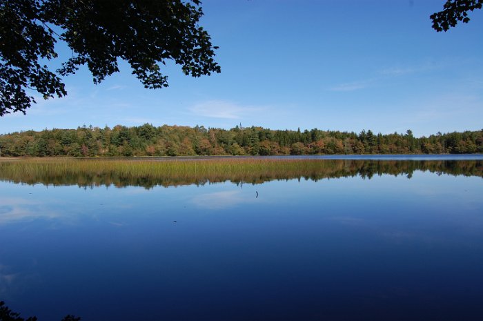 Four Island Lake 2012_018